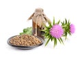 Milk thistle oil with flowers and seeds. Royalty Free Stock Photo