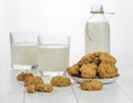 Milk in two glasses and the bottle and bowl with homemade biscuits. Royalty Free Stock Photo
