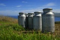 Milk urns Royalty Free Stock Photo