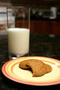 Milk vase and bitten cookie Royalty Free Stock Photo
