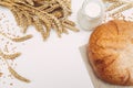 Milk, wheat grain and bread on white background Royalty Free Stock Photo