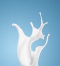 Milk or white liquid splash on blue background Royalty Free Stock Photo