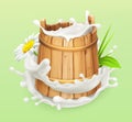 Milk. Wooden bucket. Natural dairy products. 3d vector icon Royalty Free Stock Photo