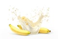 Milk yogurt splash with banana on white background commercial