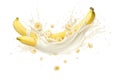 Milk yogurt splash with banana on white background commercial