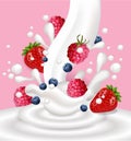 Milk or yogurt splash with berry fruits Vector realistic on pink backgrounds