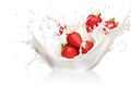 Milk yogurt splash with strawberry on white background commercial Royalty Free Stock Photo