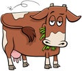 Milker cow farm animal character cartoon illustration