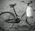 milking bike with bin for milk transport  with balck and white e Royalty Free Stock Photo