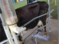 Milking equipment