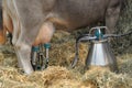 Milking machine