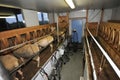 Milking parlor for the sheep Royalty Free Stock Photo