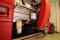 Milking robot on a dairy farm