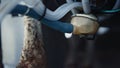 Milking system working producing organic food in robotic cowshed closeup.