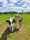 Milking a toy cow in a children's meadow on green grass