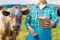 Milkmaid with the milk bucket and cow . Royalty Free Stock Photo