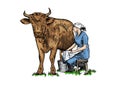 Milkmaid milking cow