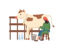 Milkmaid Person with Cow, Agriculture and Breeding