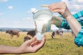 Milkmaid pours milk .