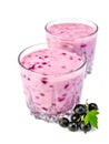 Milkshake with black currants in two glassful