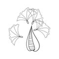 Milkweed pod bursting open and scattering fluffy seeds. Hand drawn line art. Vector illustration isolated on white Royalty Free Stock Photo