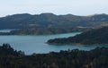 Milky blue color of a sea, with some trees in New Zealand seen from a lookout point