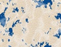 Milky color animal fur with blue random shape spots