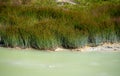 Milky Green Water of The West Thumb Paint Pots