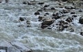 Milky grey glacial water of Vyas River Royalty Free Stock Photo