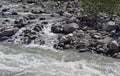 Milky grey glacial water of Vyas River Royalty Free Stock Photo