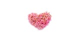 Milky Pink or Pastel pink flowers Heart shape on white background.