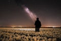 Milky way above a field of tulip fields in the Netherlands during Spring Royalty Free Stock Photo