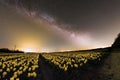 Milky way above a field of tulip fields in the Netherlands Spring Season Royalty Free Stock Photo