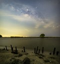 The Milky Way above a single tree and the bamboo landscape prevents the sea from breaking the coast Royalty Free Stock Photo