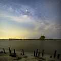 The Milky Way above a single tree and the bamboo landscape prevents the sea from breaking the coast