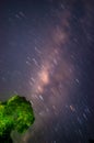 Milky way above the tree and the movement of the stars. Royalty Free Stock Photo