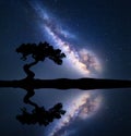 Milky Way with alone crooked tree on the hill Royalty Free Stock Photo