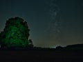 Milky Way with an big old green tree on the hill. Royalty Free Stock Photo