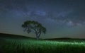 Milky Way in the famous Palouse region