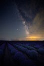 The Milky Way Galaxy galactic core rising above a lavander field in Romania