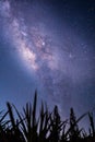 Milky way galaxy with hill under amazing starry night sky