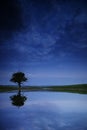 Milky Way galaxy image of night sky with natural tree silhouette