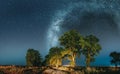 Milky Way Galaxy In Night Starry Sky Above Tree In Summer Forest. Glowing Stars Above Landscape. Panorama Royalty Free Stock Photo