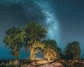 Milky Way Galaxy In Night Starry Sky Above Tree In Summer Forest. Glowing Stars Above Landscape. Panorama Royalty Free Stock Photo