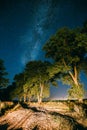 Milky Way Galaxy In Night Starry Sky Above Tree In Summer Forest Royalty Free Stock Photo