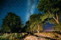 Milky Way Galaxy In Night Starry Sky Above Tree In Summer Forest Royalty Free Stock Photo