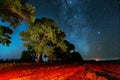 Milky Way Galaxy In Night Starry Sky Above Tree In Summer Forest. Glowing Stars Above Landscape. View From Europe Royalty Free Stock Photo