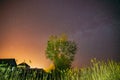 Milky Way Galaxy In Night Starry Sky Above Young Green Lonely Tree In Spring Night. Glowing Stars Above Landscape Royalty Free Stock Photo