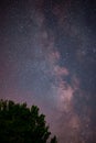 The milky way galaxy observed from a wild and dark place. Night details with the sky full of stars and silhouettes of trees Royalty Free Stock Photo