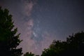 The milky way galaxy observed from a wild and dark place. Night details with the sky full of stars and silhouettes of trees